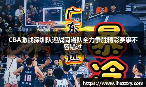 球速体育官网版